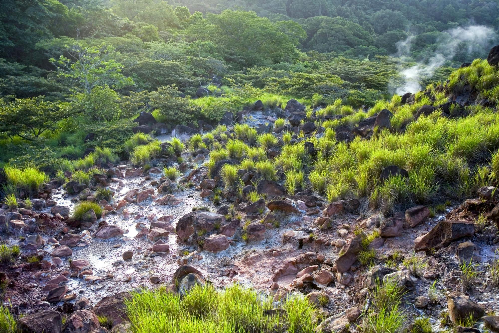 Rincon de La Vieja National Park