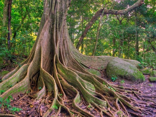 Rincon de La Vieja National Park