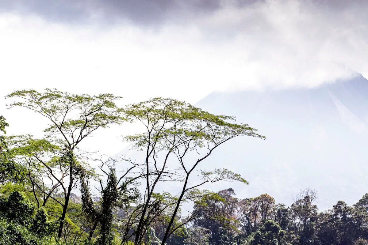 Diamante Eco Park Adventure Pass