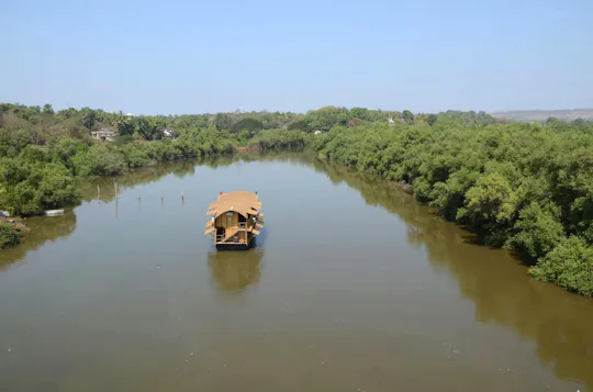 Goa Overnight Houseboat Cruise on the Backwaters of Aldona River