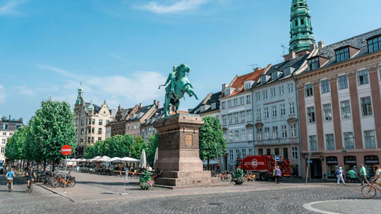 Enjoy a private walking tour through Copenhagen