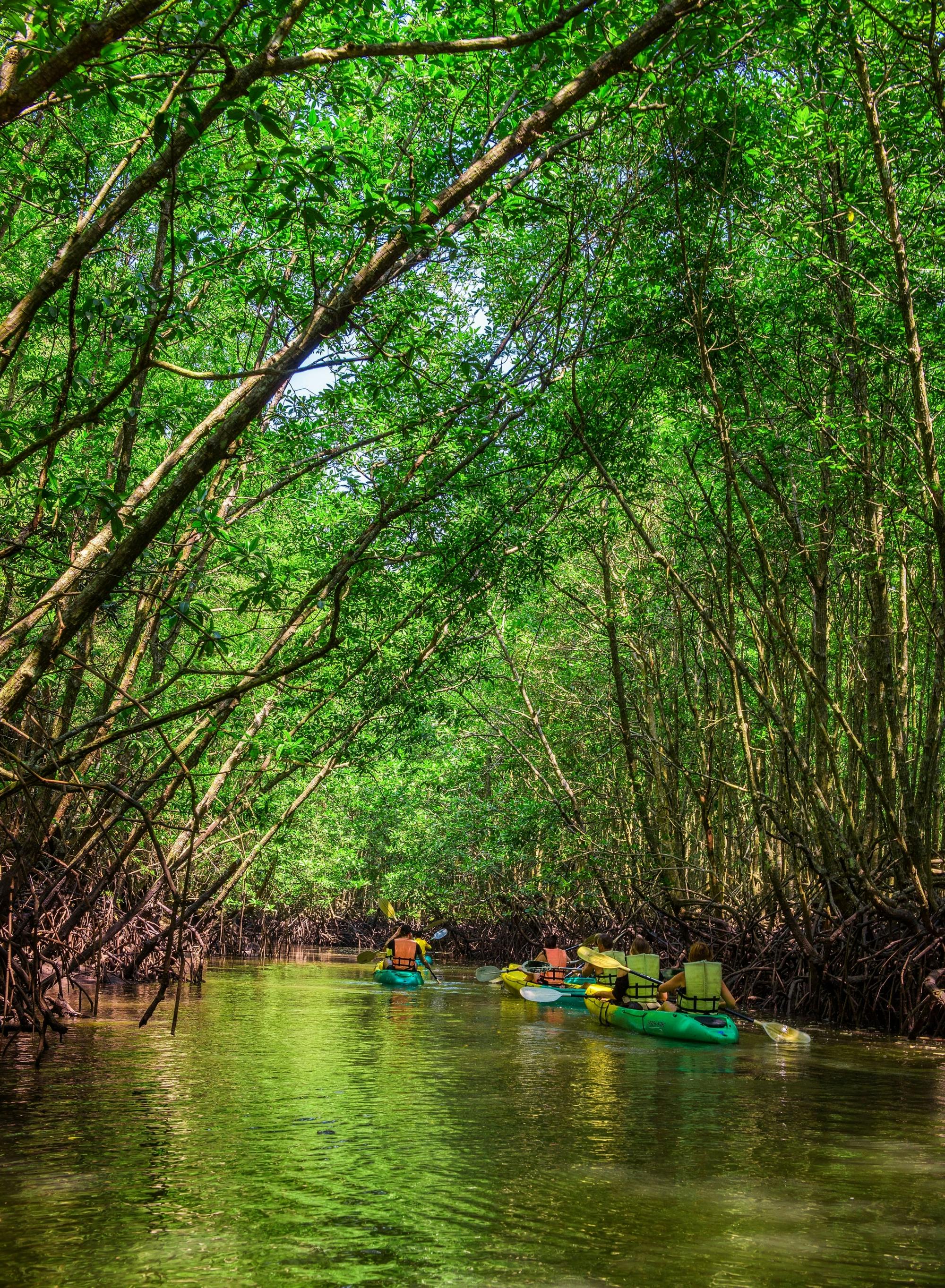 Full-Day Twilight Sea Canoe from Phuket