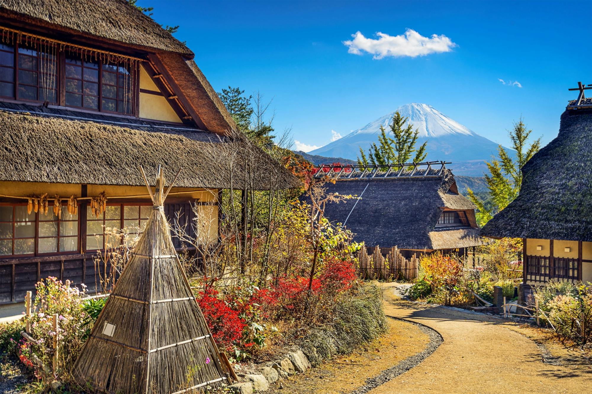 Excursión de un día al monte Fuji, el parque Asama y el lago Rinko del Oeste