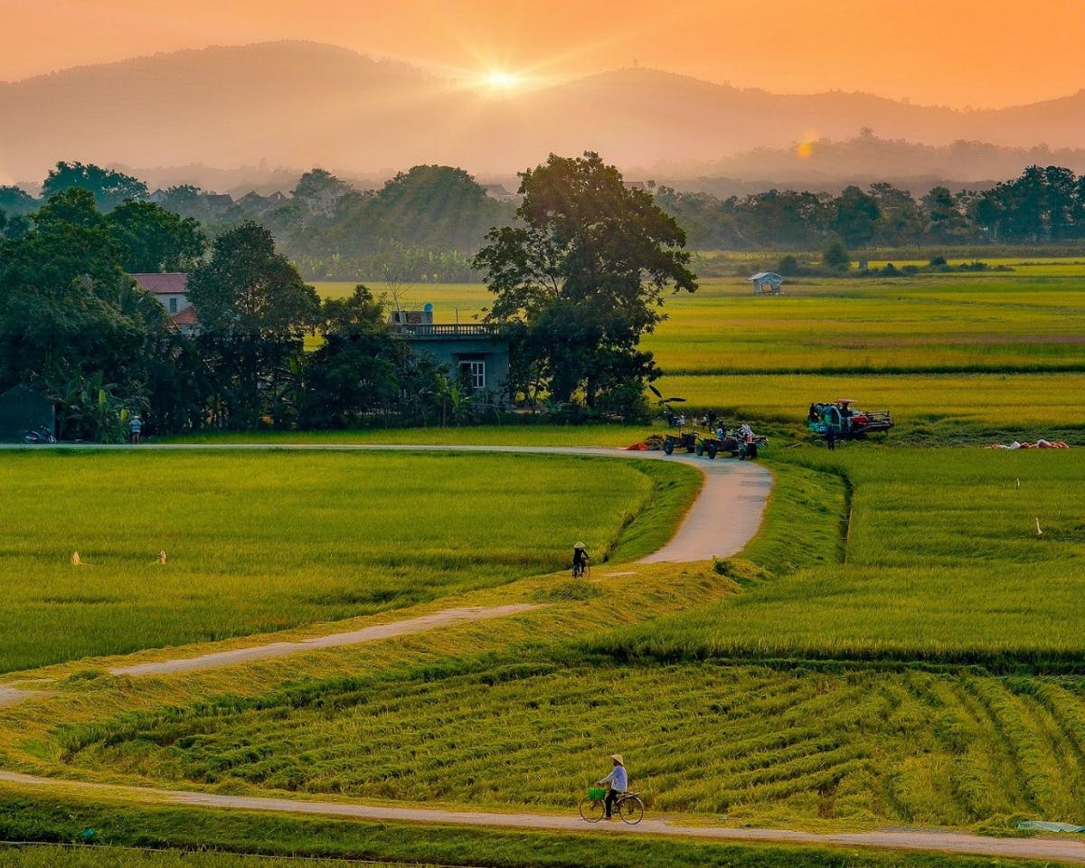 Da Nang rural villages bicycle tour with cooking session