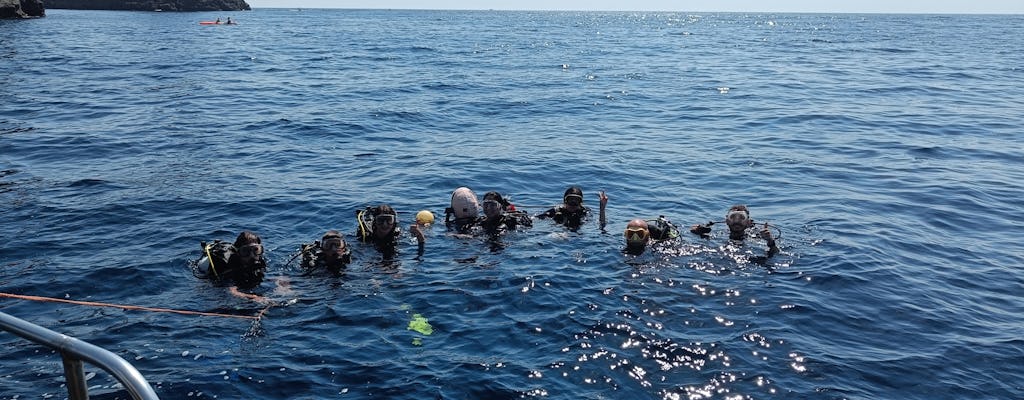 Scuba Diving Experience in the Gulf of Catania from Aci Castello