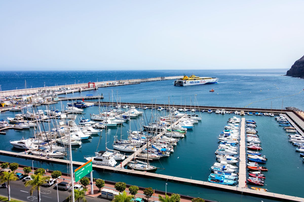 VIP La Gomera Minivan Tour from the North