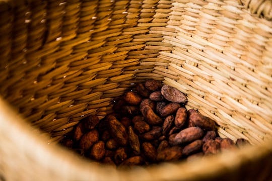 Degustação de chocolate peruano, pisco e café no ChocoMuseo