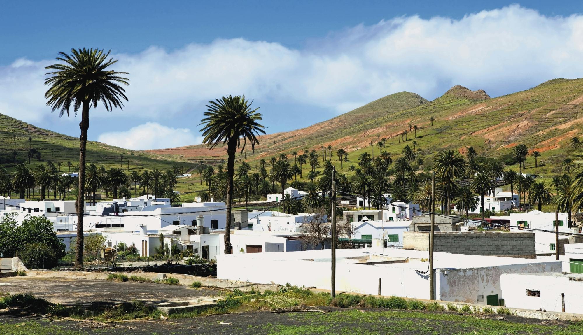 Full-day Northern Lanzarote art and sightseeing tour