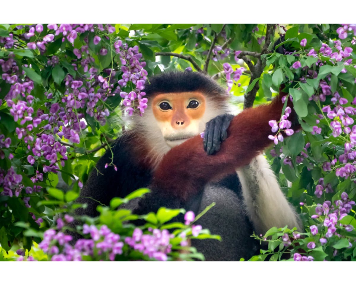 202411056729ddd61b197.png