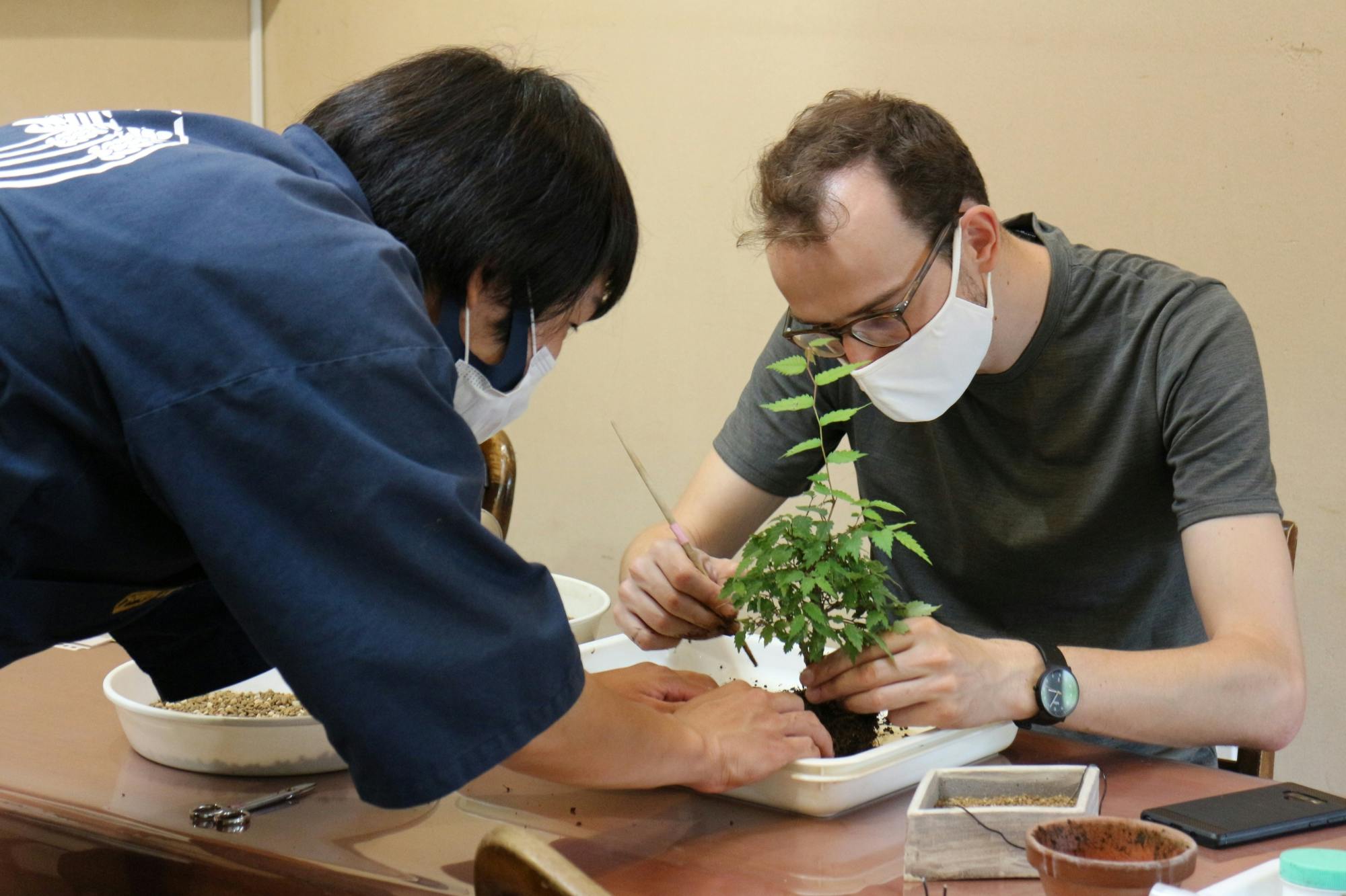 Auténtica experiencia de bonsái japonés en Tokio