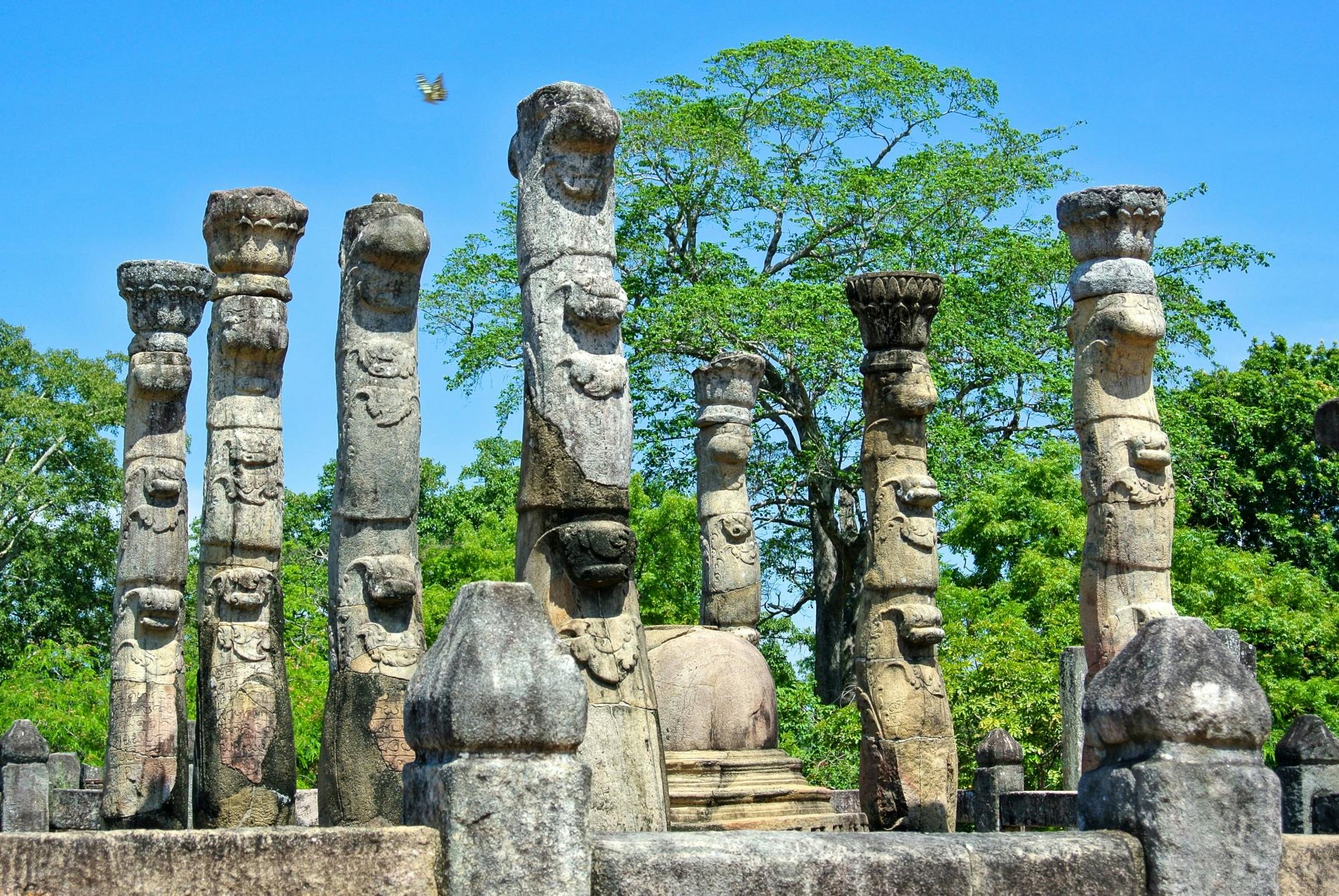 Ancient Polonnaruwa Morning Tour from the East Coast