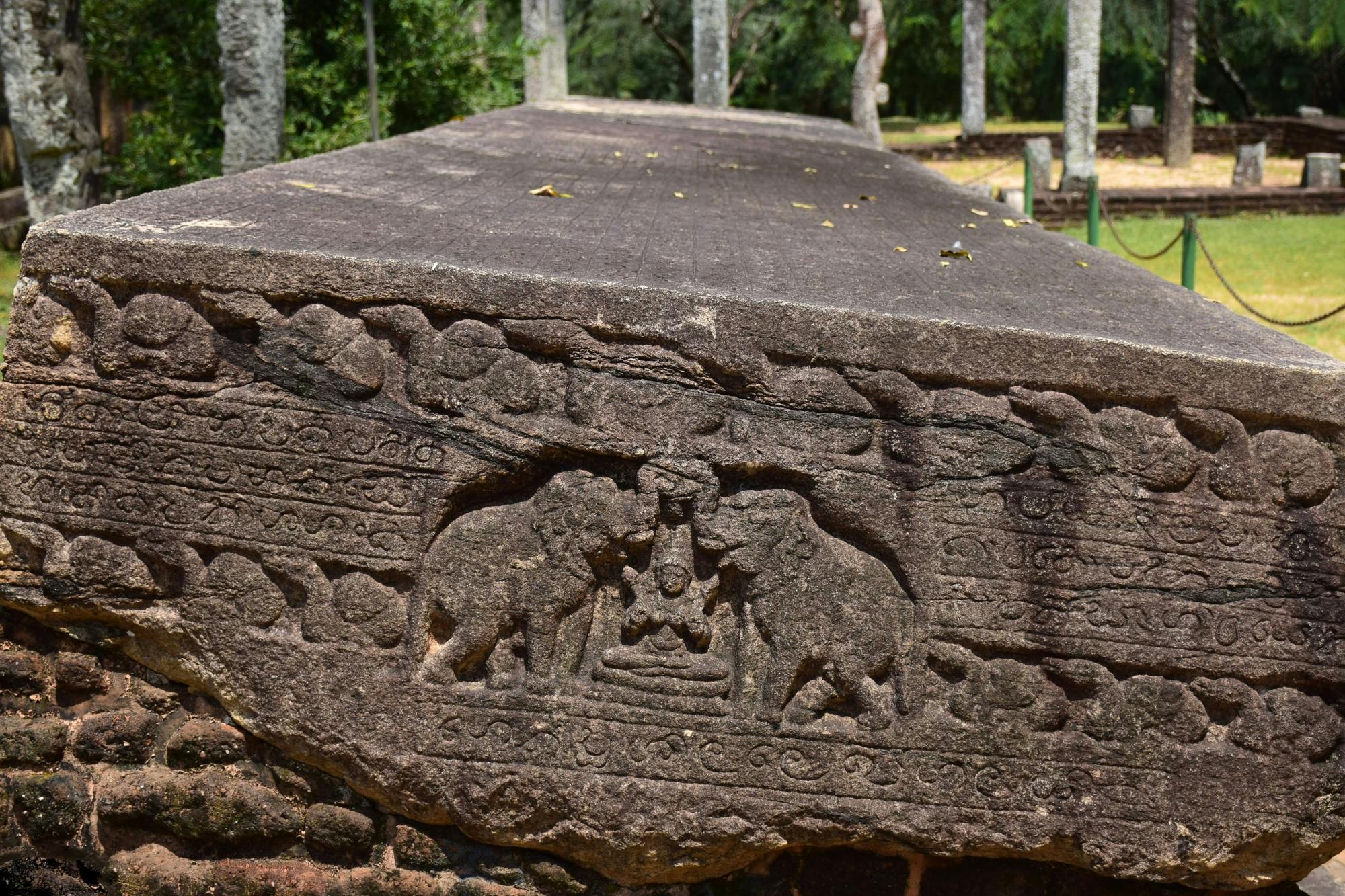 Ancient Polonnaruwa Morning Tour from the East Coast