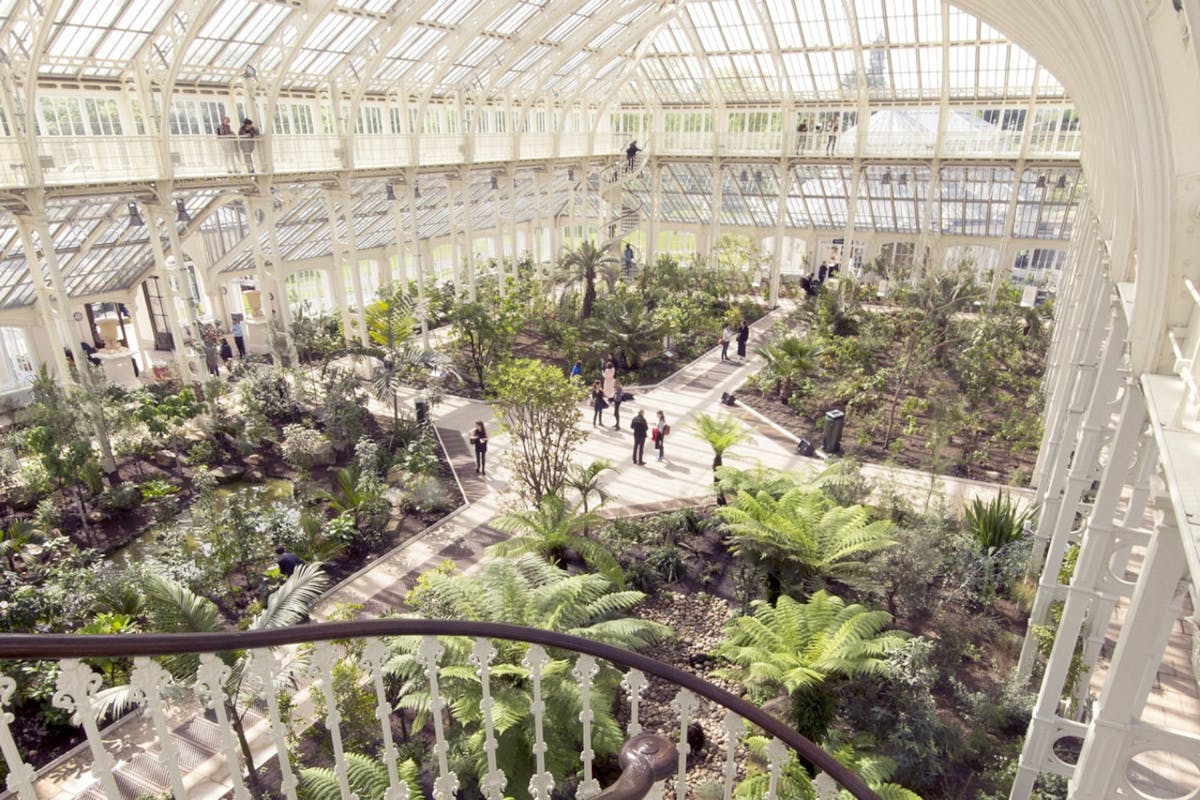 Westminster-wandeltocht met bezoek aan Kew Gardens