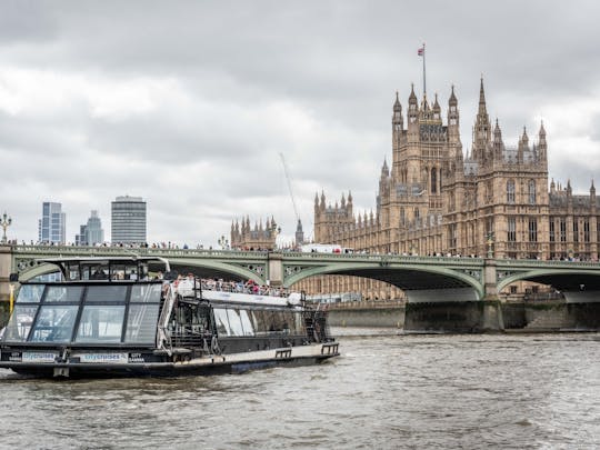 Guided tour of Westminster, river cruise and tickets to The Tower of London