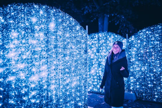 Toegangskaart voor het Lumina Park in Boedapest