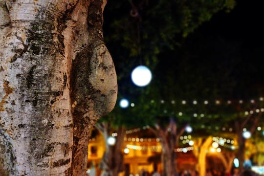 Trasferimento a La Laguna per lo shopping natalizio e le luci di Natale