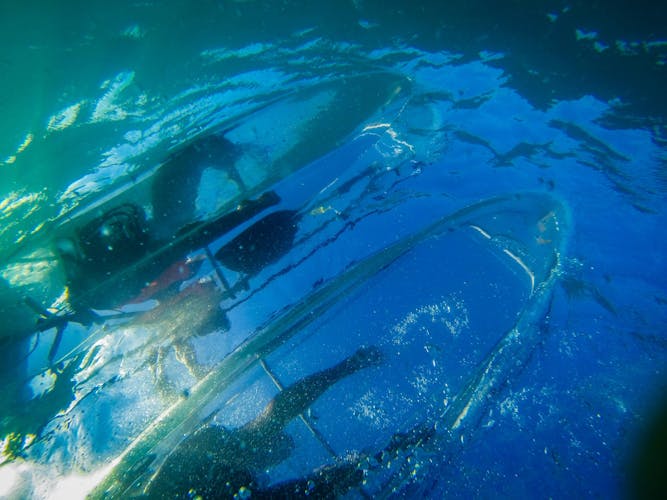 Transparent e-kayak guided tour in Fuerteventura