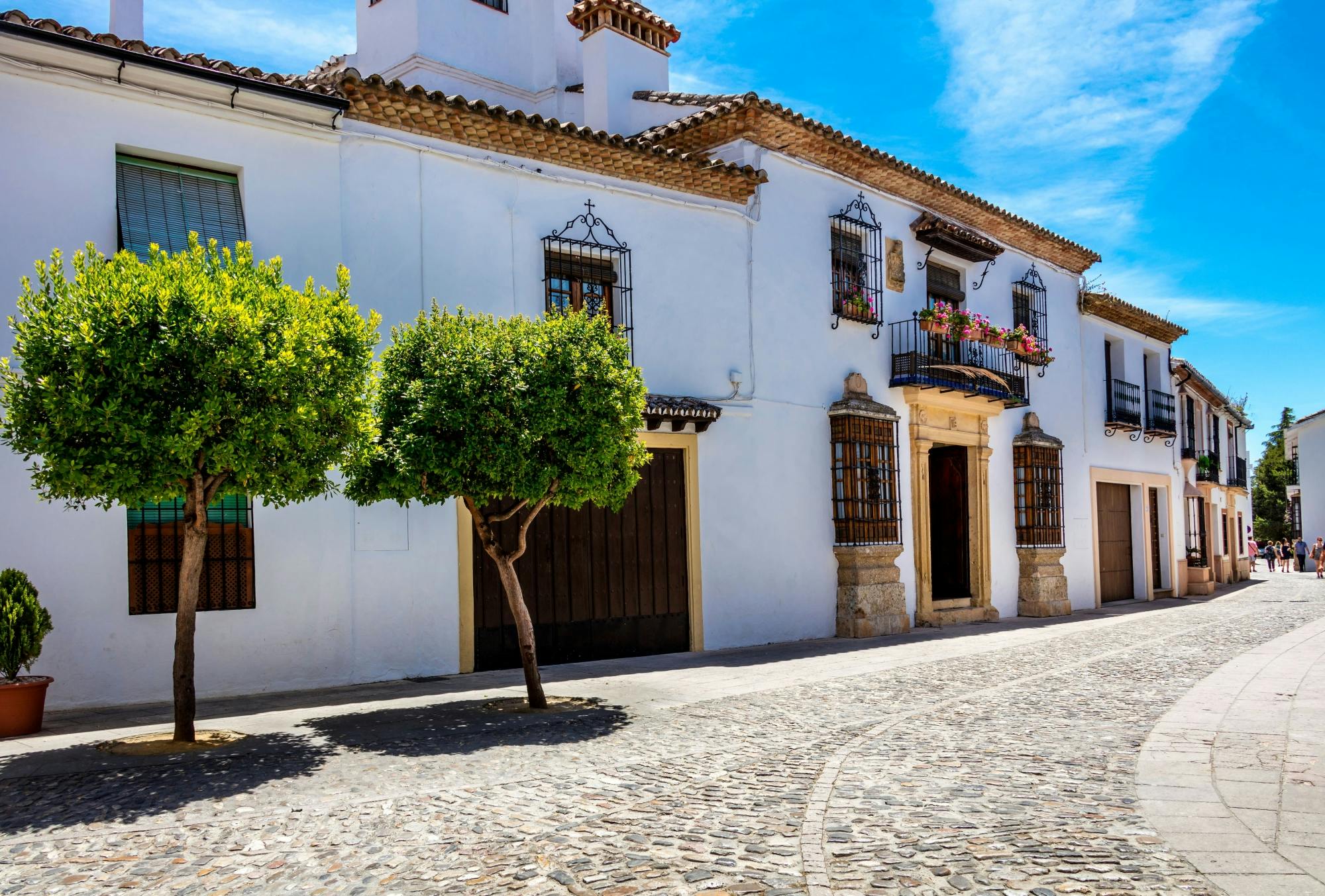 Ronda and Grazalema Tour