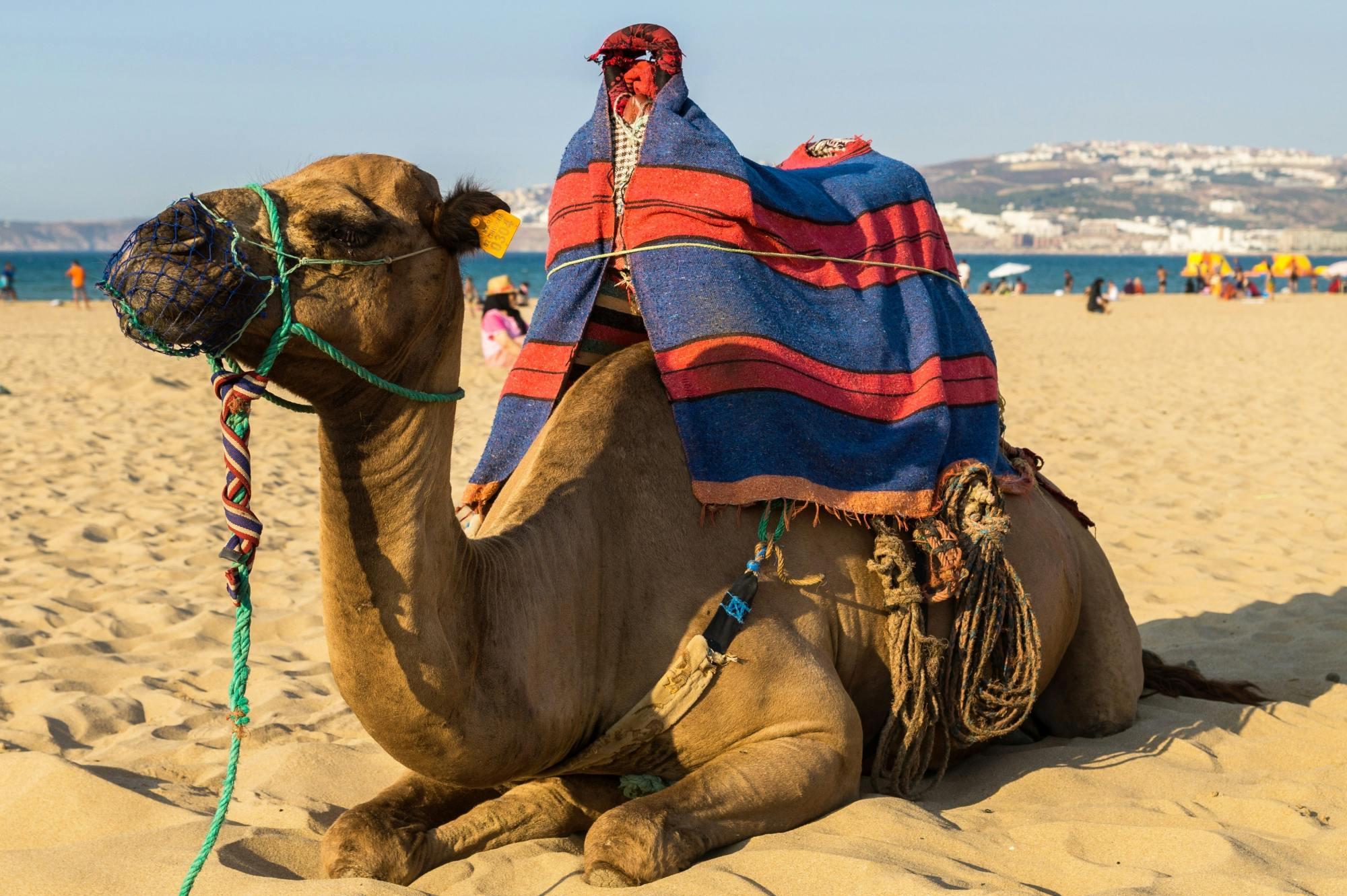 Tangier and Gibraltar Guided Tour from Seville 2 Days