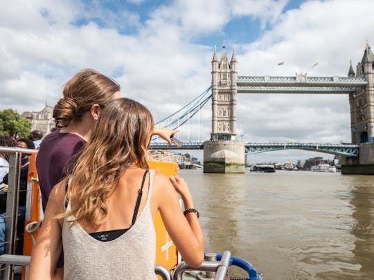 Thames River Cruise and Westminster 3-Hour Private Tour