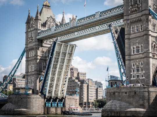 Recorrido privado a pie por Westminster y el Puente de la Torre