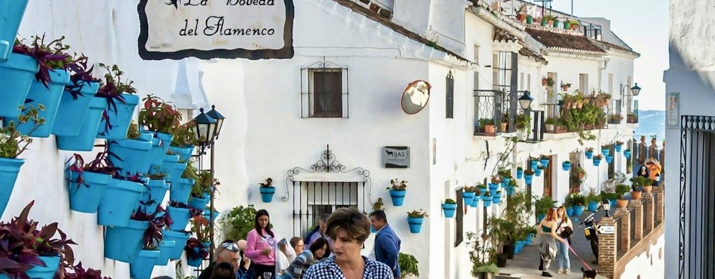 Marbella, Mijas, Puerto Banus and Benalmadena Day Tour from Malaga