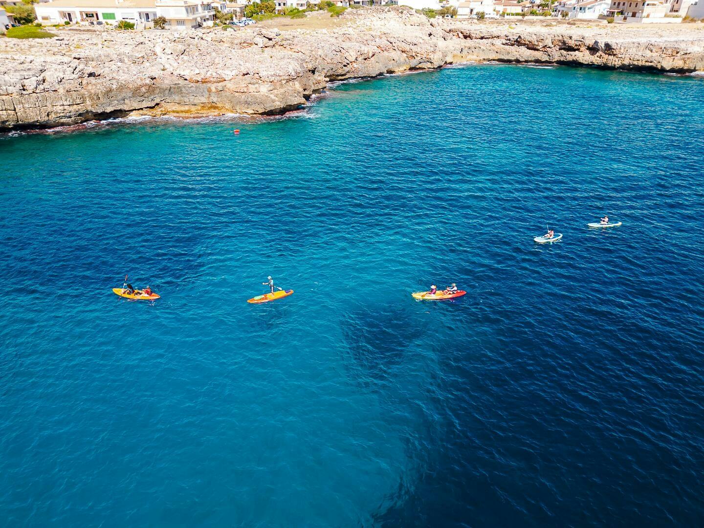 Eco Island Adventure Stand-up Paddle or Kayaking Guided Tour with Snorkelling