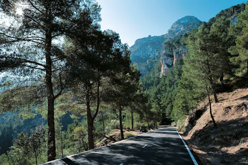 Authentic Majorca Winter Tour