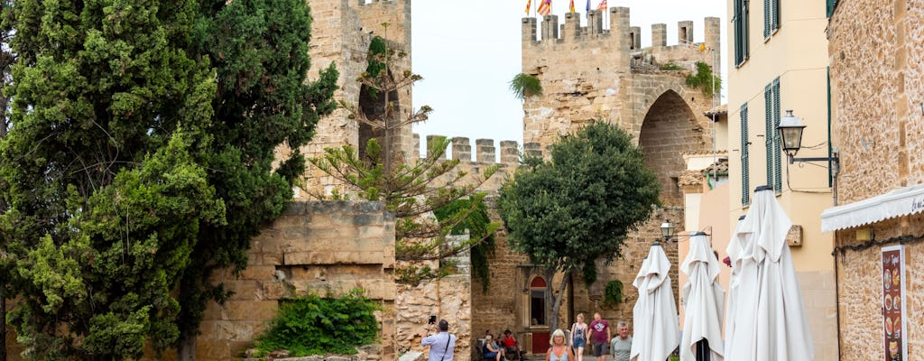 Ruta de degustación por Alcudia y Bodega Butxet