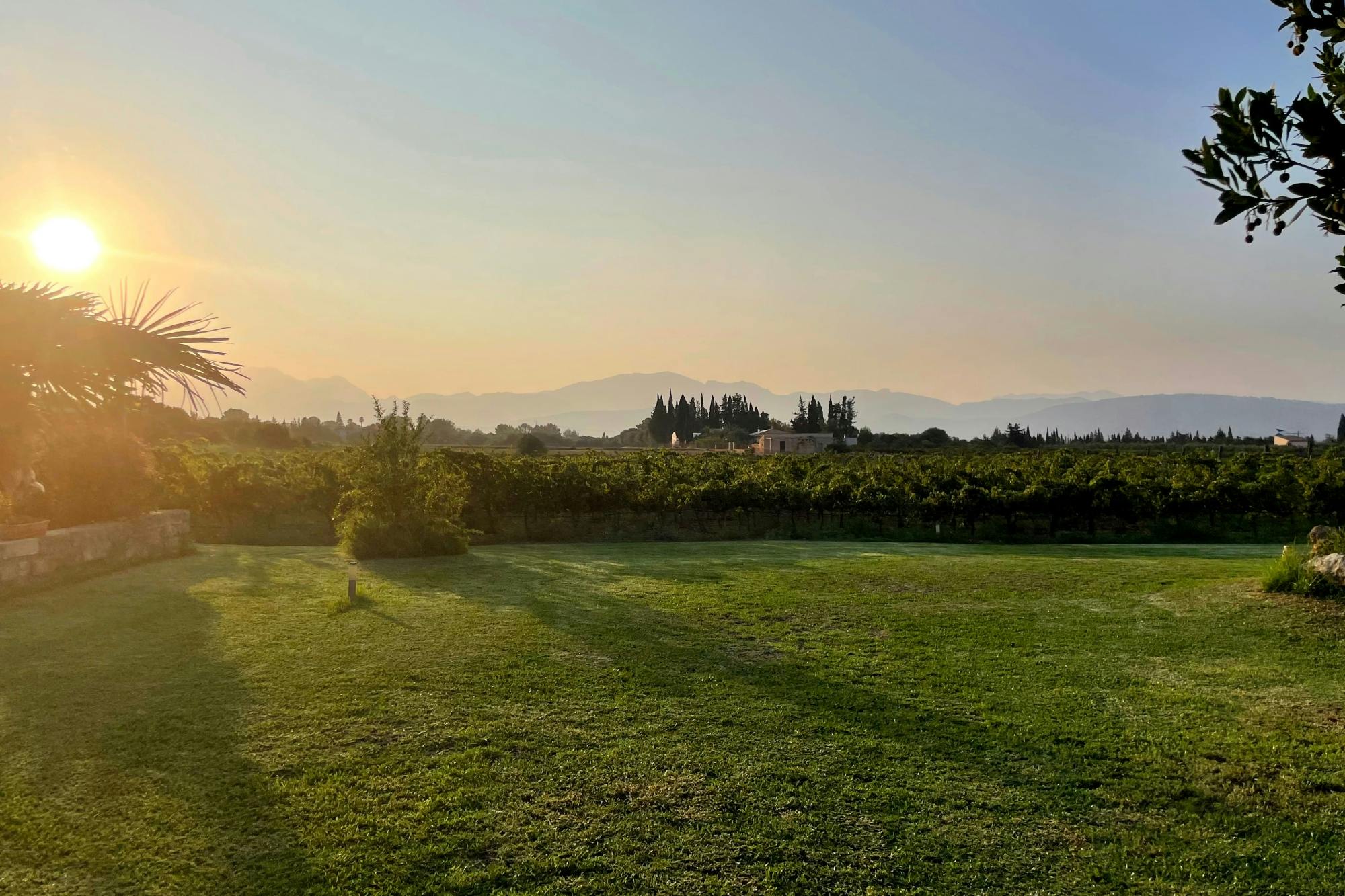 Albufera, Alcudia, and Bodega Butxet sunset tour