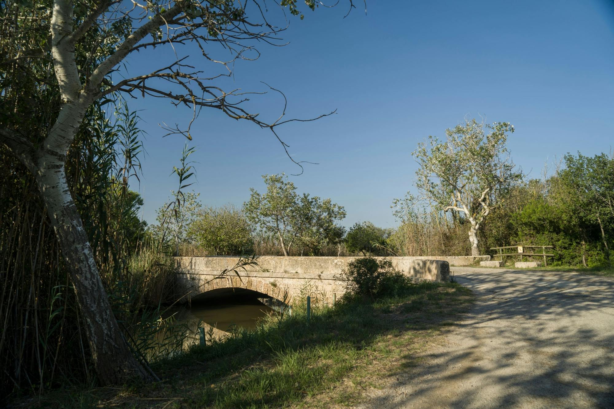 Albufera, Alcudia, and Bodega Butxet sunset tour