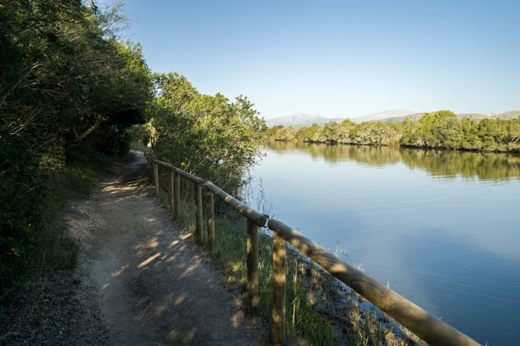 Albufera, Alcudia, and Bodega Butxet sunset tour