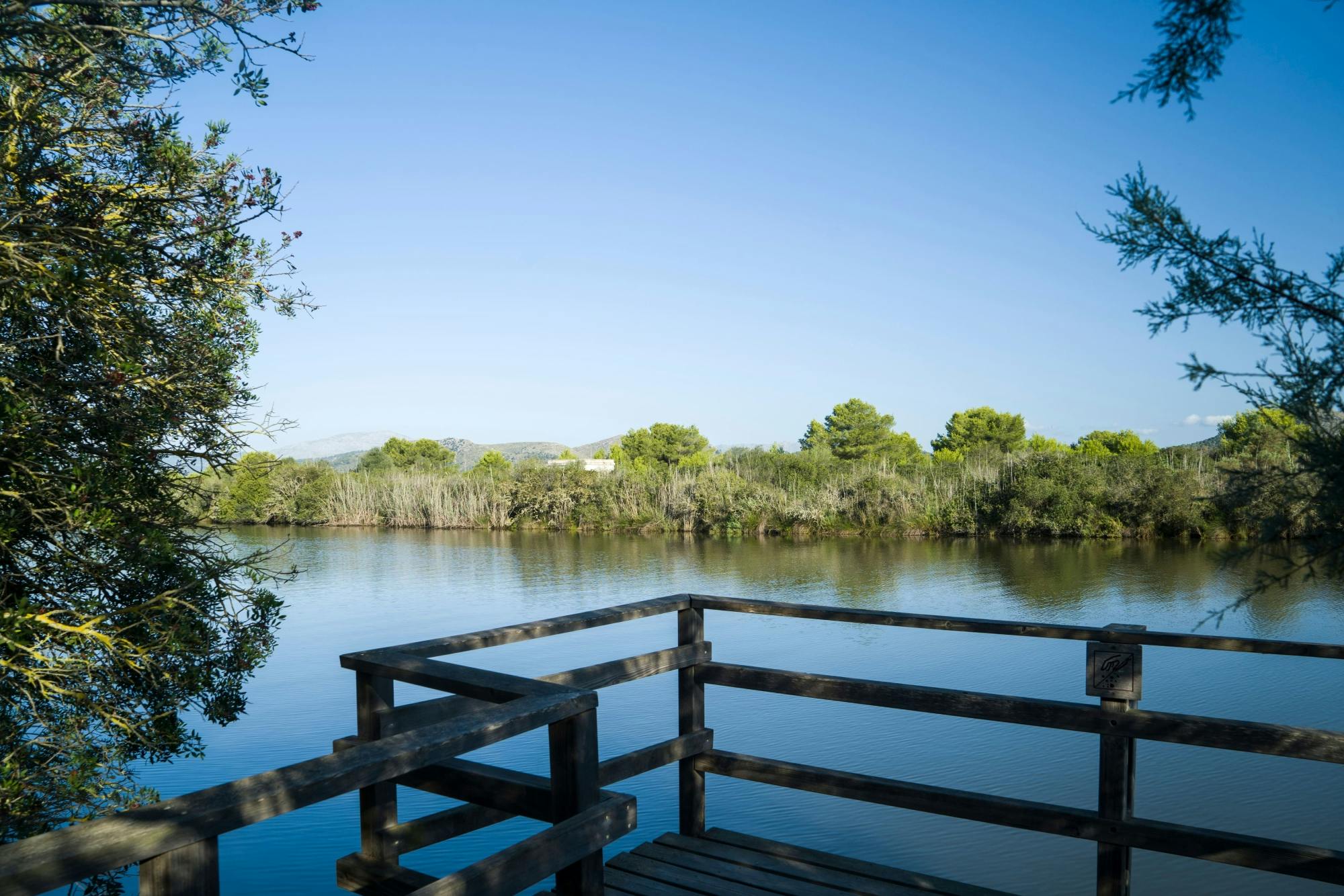 Albufera, Alcudia, and Bodega Butxet sunset tour