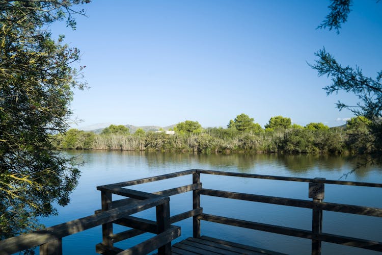 Albufera, Alcudia, and Bodega Butxet sunset tour