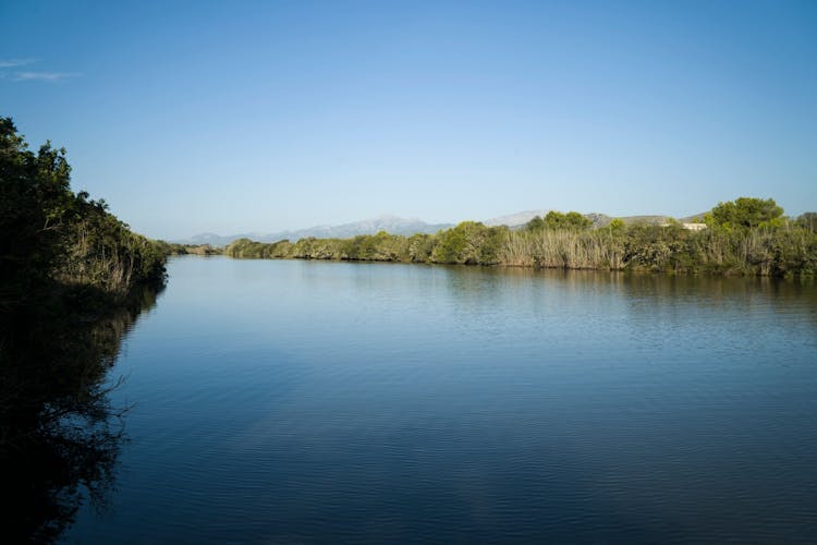 Albufera, Alcudia, and Bodega Butxet sunset tour