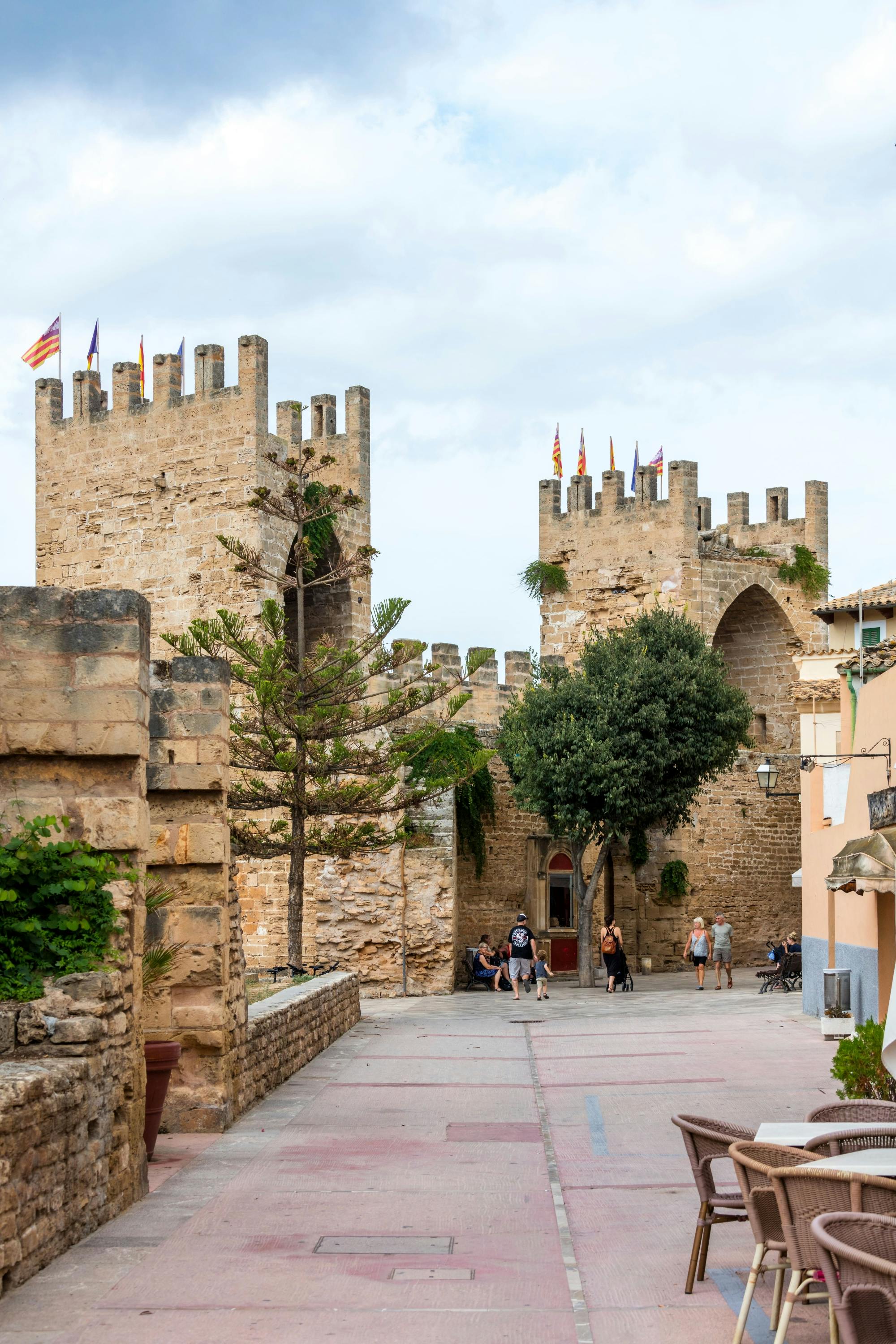 Albufera, Alcudia, and Bodega Butxet sunset tour