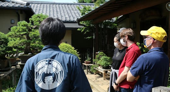 Experiencia de creación de bonsáis para principiantes en Tokio