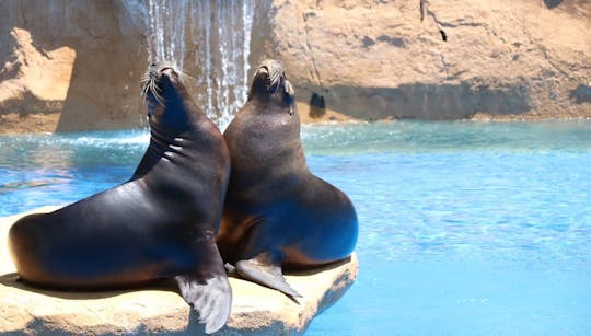 Eintrittskarten für den Selwo Marina Benalmádena Park