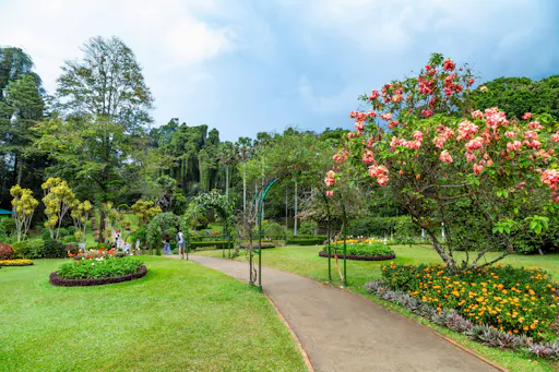 Kandy Day Tour from the East Coast