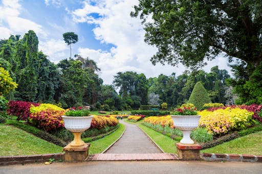 Kandy and Nuwara Eliya Two-day Tour with Train Ride