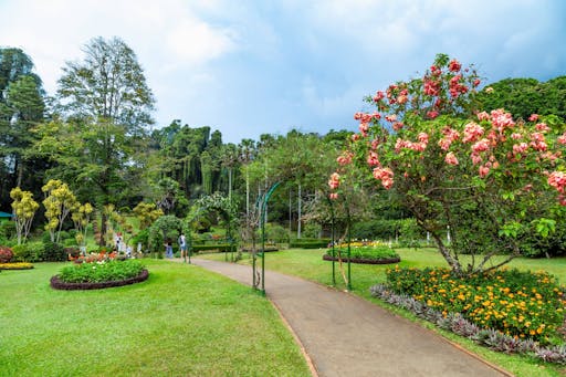 Kandy, Ella, Yala Park Safari and Galle Four-day Tour