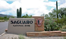 Audio-guided driving tour to Saguaro National Park