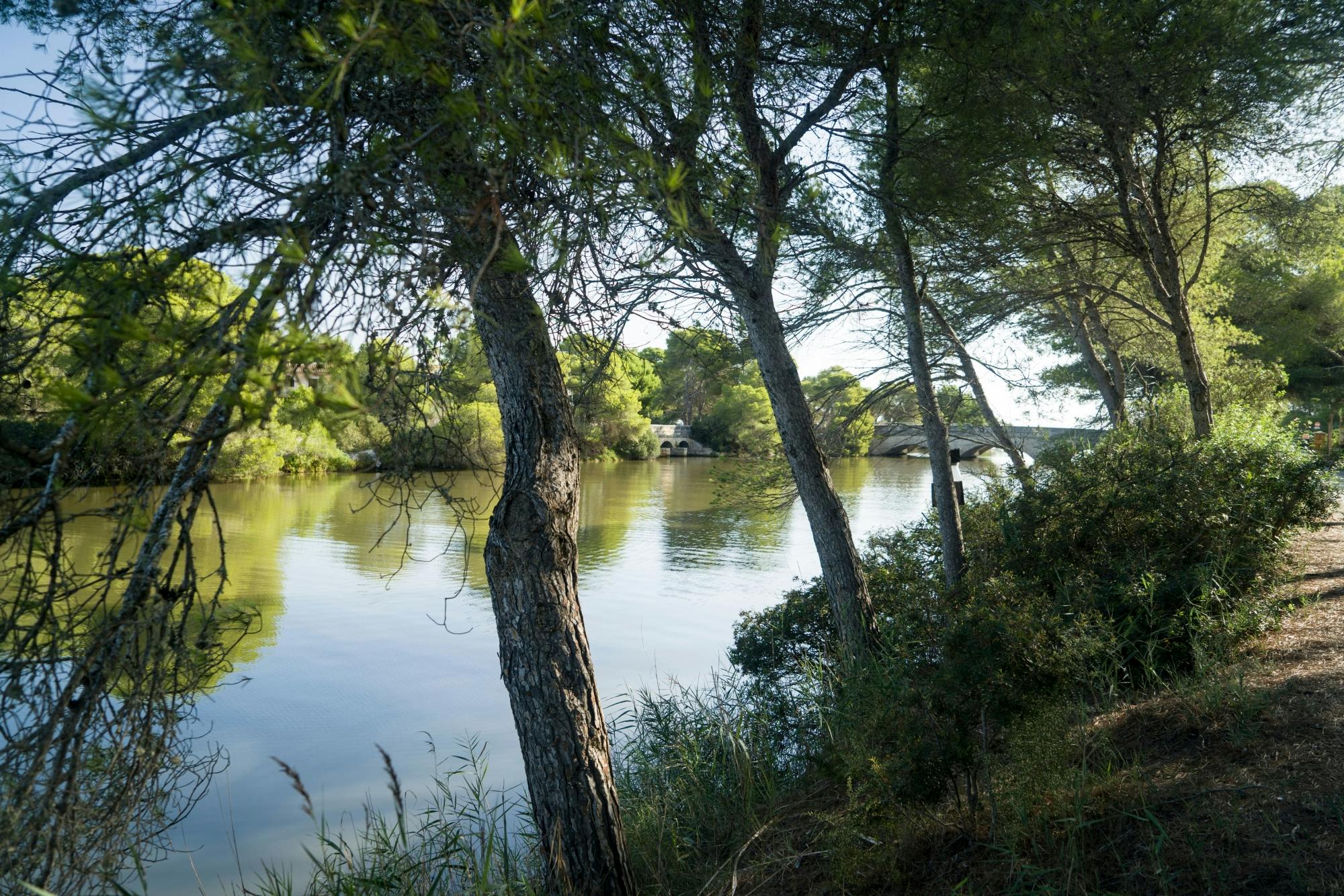 Albufera, Alcudia, and Bodega Butxet sunset tour