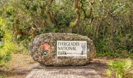 Tour audioguidato in auto al Parco Nazionale delle Everglades