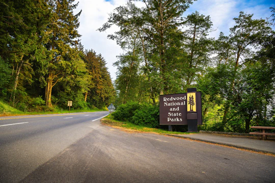 Audio-guided driving tour to Redwood National & State Parks