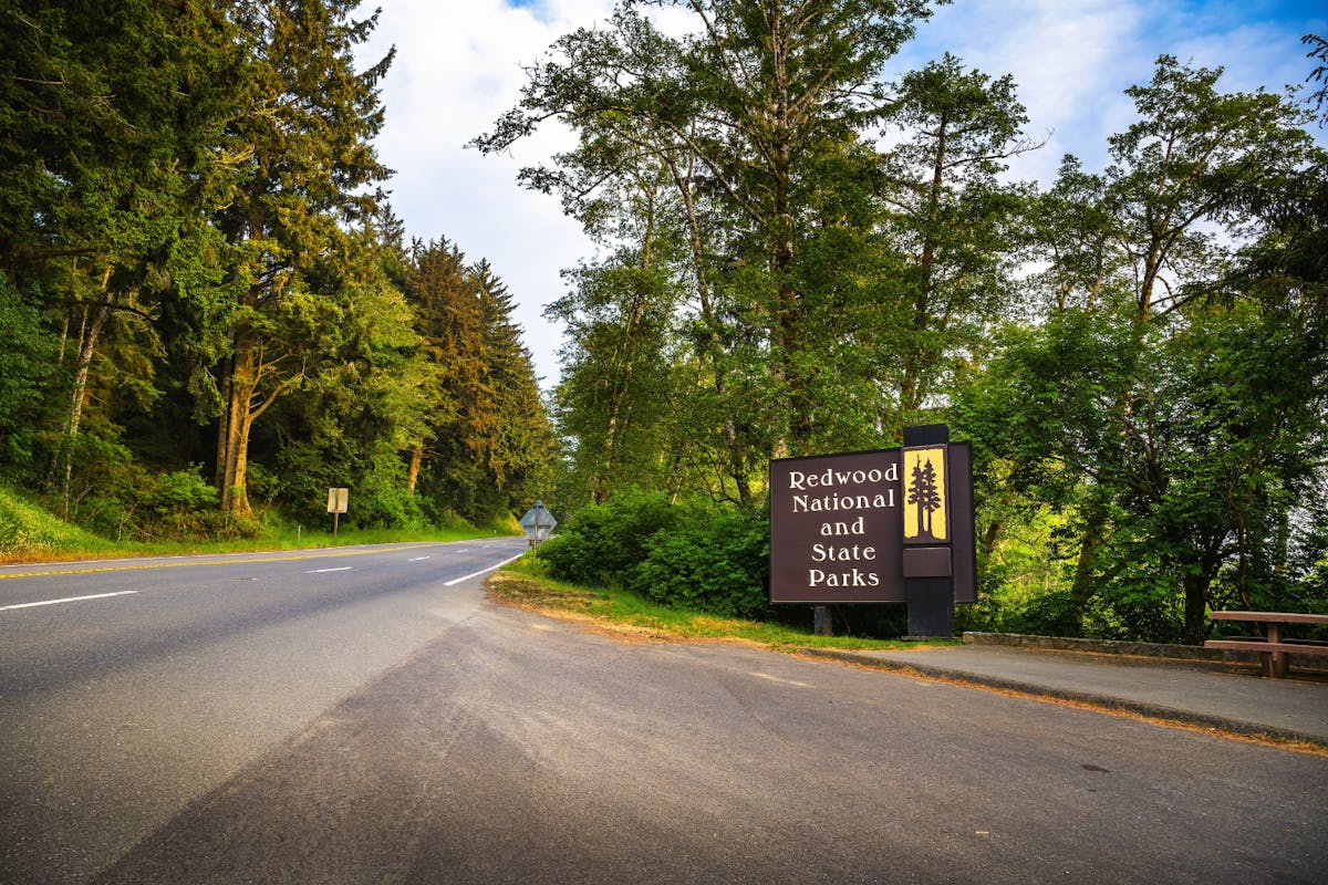 Tour met audiogids naar Redwood National & State Parks