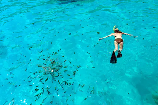 Phi Phi and Bamboo Island speedboat tour