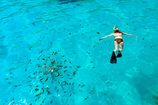 Phi Phi and Bamboo Island speedboat tour