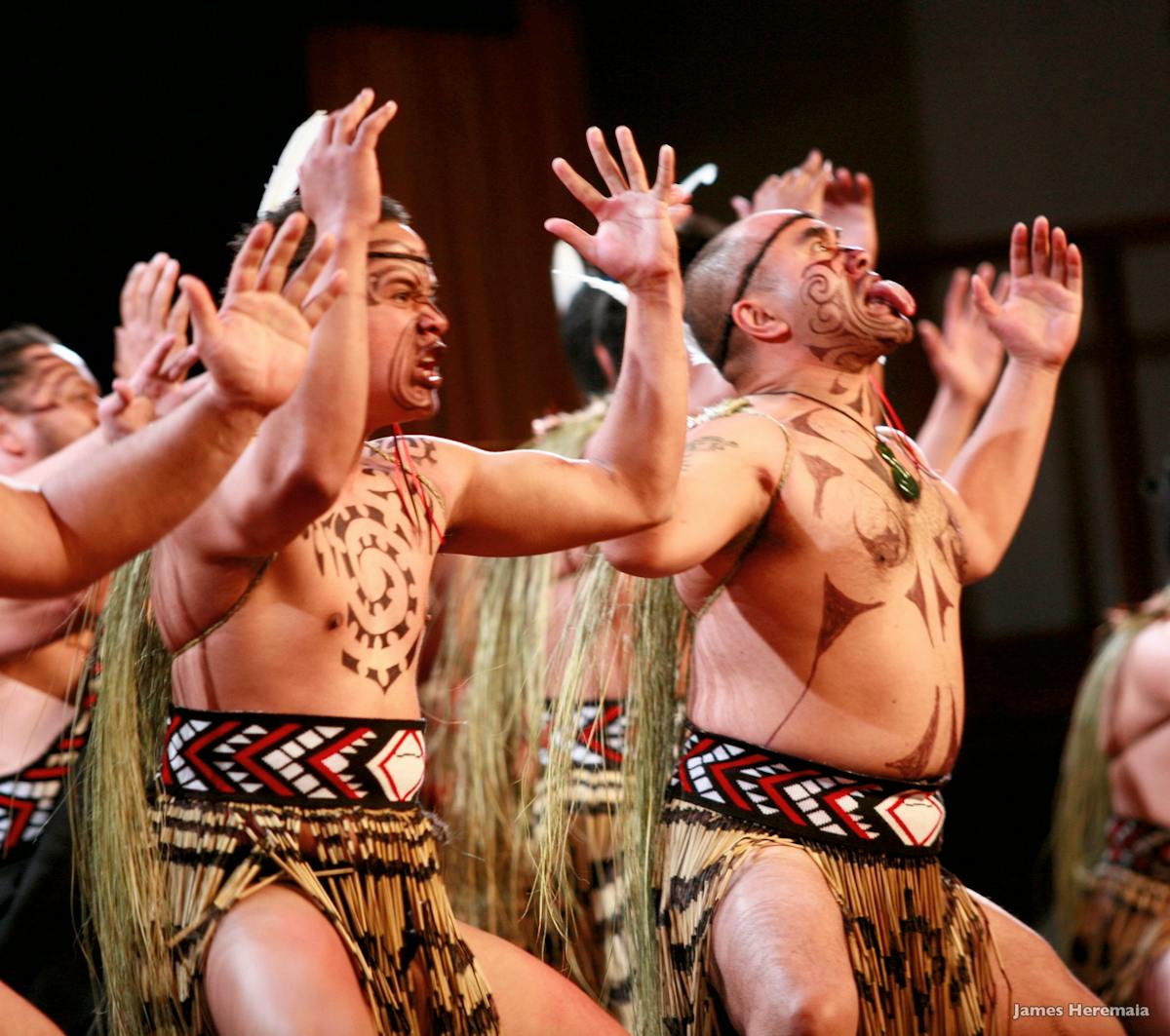 Maori Cultuur Ervaring Tour