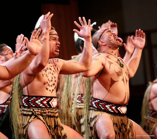 Maori culture experience tour